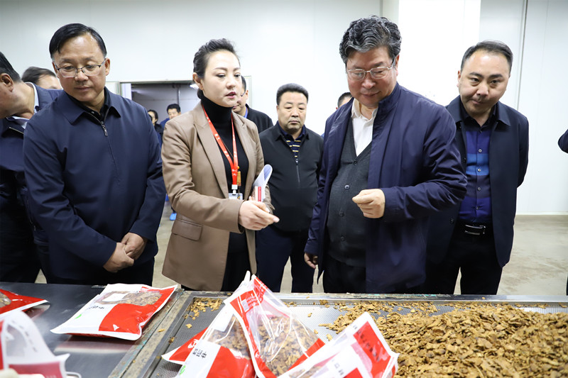 全省中药材抓点示范行动现场推进会在陇西召开