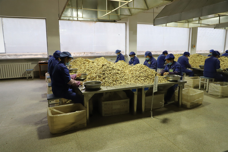 全省中药材抓点示范行动现场推进会在陇西召开