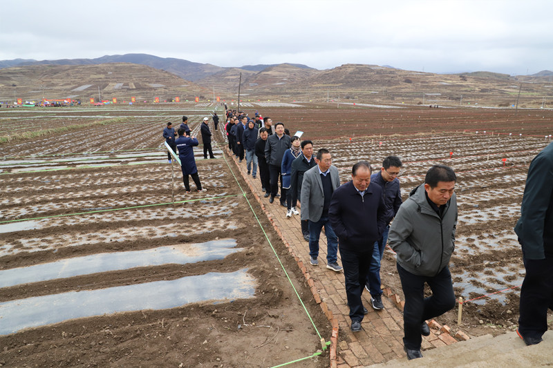 全省中药材抓点示范行动现场推进会在陇西召开