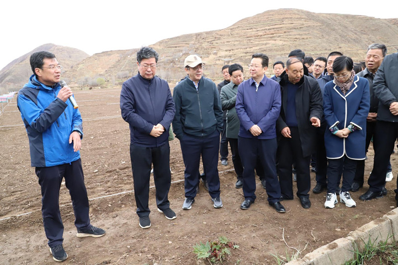全省中药材抓点示范行动现场推进会在陇西召开