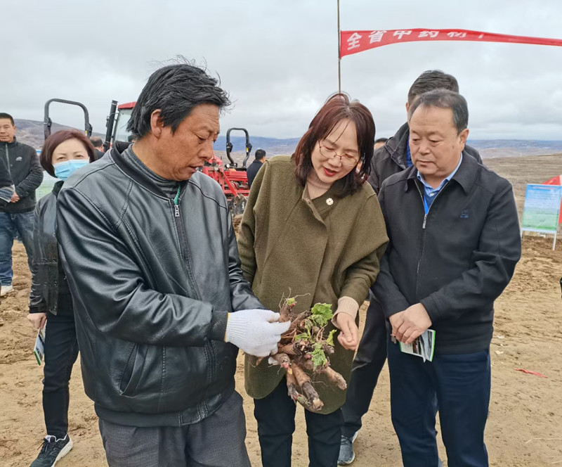 全省中药材抓点示范行动现场推进会在陇西召开