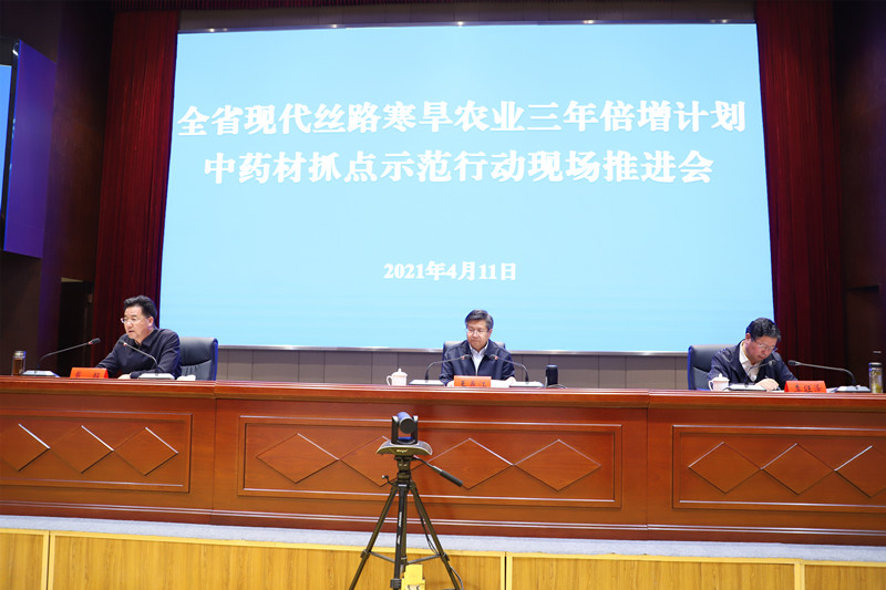全省中药材抓点示范行动现场推进会在陇西召开