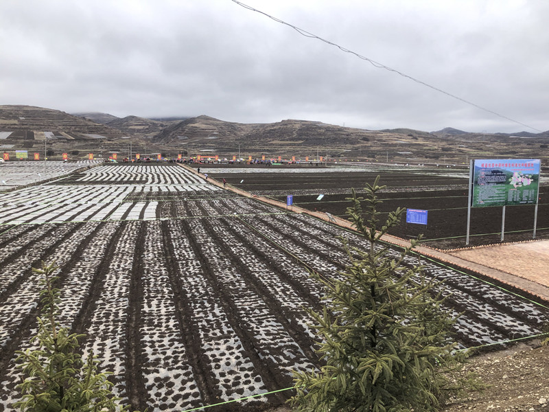 全省中药材抓点示范行动现场推进会在陇西召开