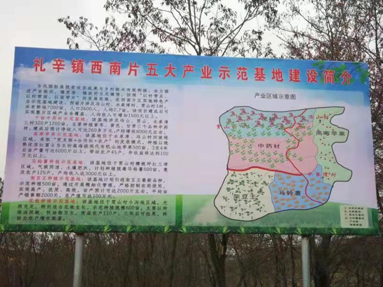 甘谷县农村局全力推动中药材产业发展