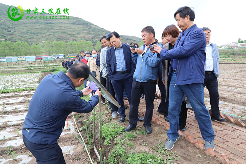 全省土肥水技术培训暨项目验收会在岷县召开
