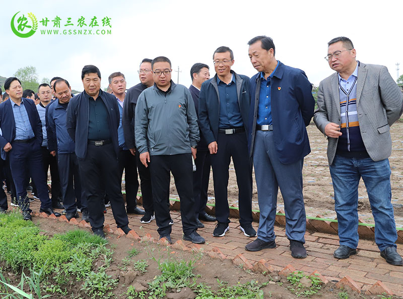 全省土肥水技术培训暨项目验收会在岷县召开