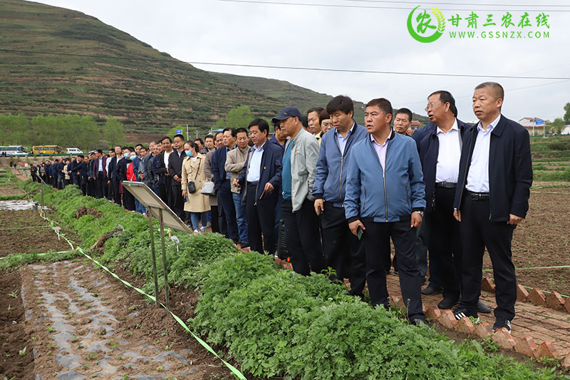 全省土肥水技术培训暨项目验收会在岷县召开
