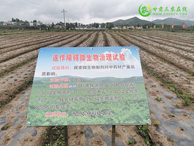 全省土肥水技术培训暨项目验收会在岷县召开