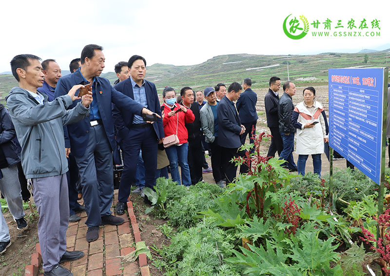 金川区加强监督管理落实果菜茶有机肥替代化肥试点县创建