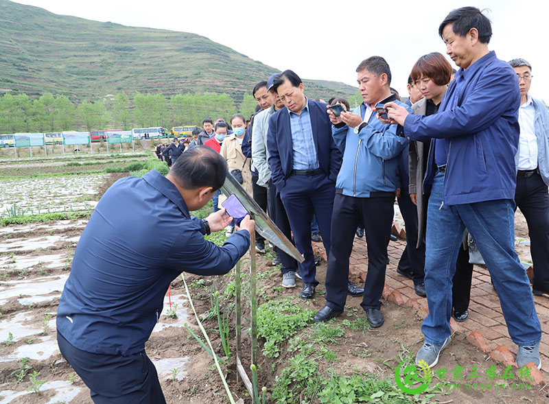 蔬菜有机肥替代化肥项目带动榆中县去年有机肥增量达10000吨以上