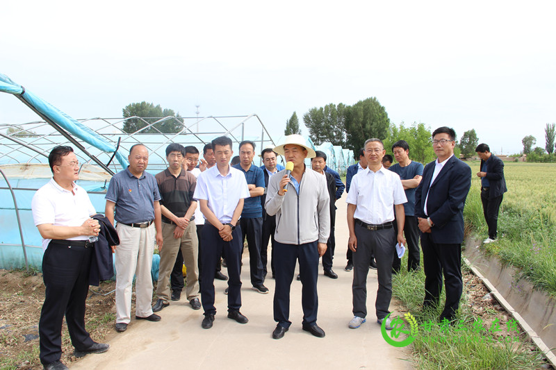 全省农技推广系统在临泽县观摩