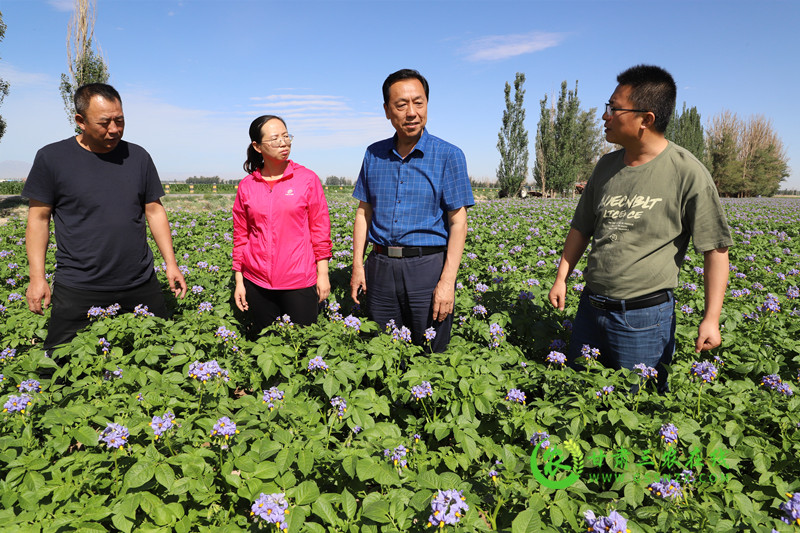 省耕保总站站长崔增团一行赴河西调研指导土肥水工作