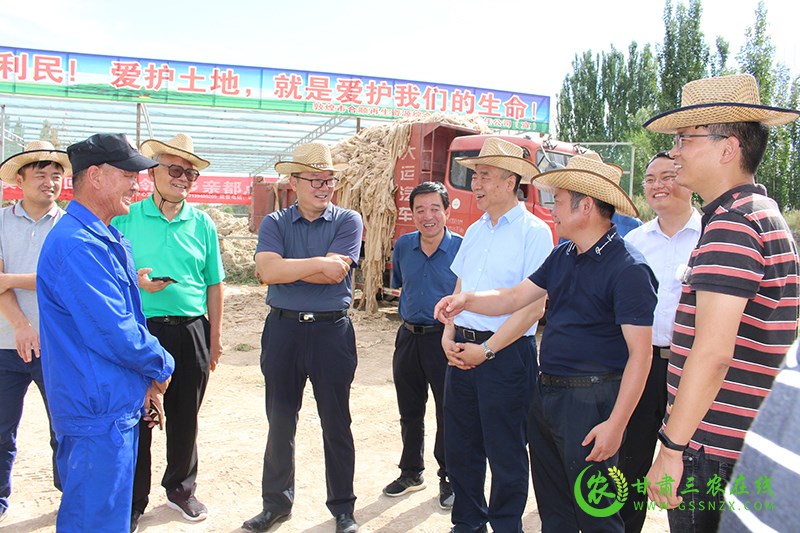 农膜污染治理部委联合调研组对敦煌市废旧农膜回收体系建设工作开展调研