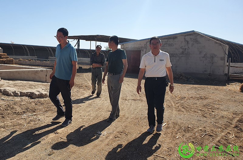 甘肃三农在线采访组赴敦煌市采访畜牧兽医技术推广工作