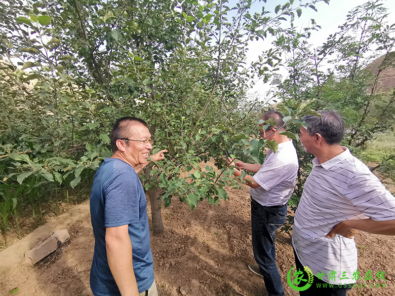 省植保站调研督导组赴白银市指导粘虫、草地贪夜蛾监测防控工作