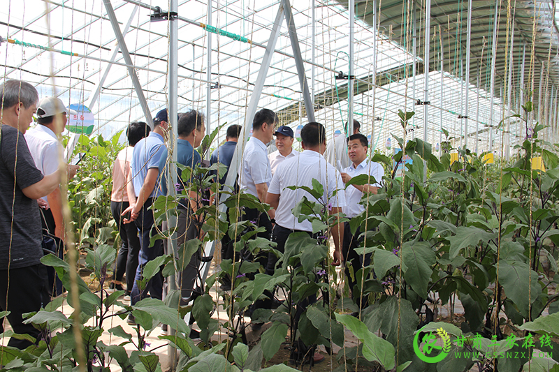 全国蔬菜病虫害绿色防控暨植物源农药应用技术培训班在​张掖举办