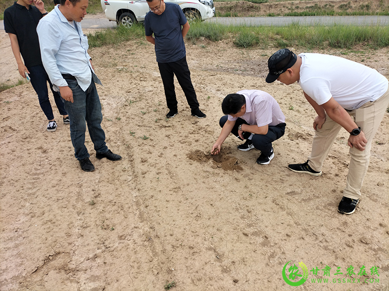 省农业农村厅督导调研组赴华池县调研耕地轮作试点遥感监测核查工作