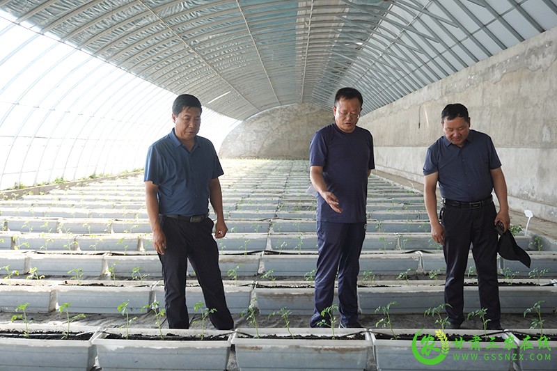 甘肃三农在线采访组在金塔县采访农技推广工作