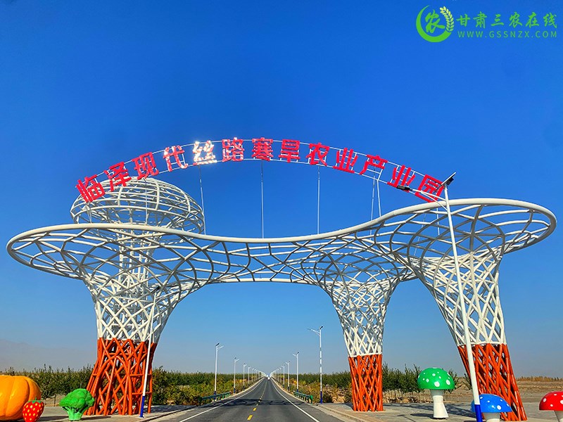 临泽县开启现代丝路寒旱农业优势特色产业新征程