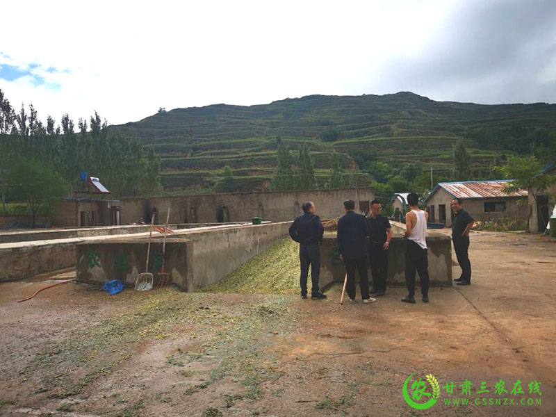 省畜牧总站技术组在张家川县开展肉牛产业抓点示范工作