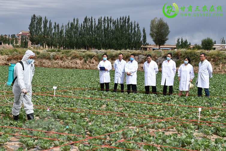 ​省植保植检站对甘肃金栗农业科技有限公司开展农药登记试验监督检查