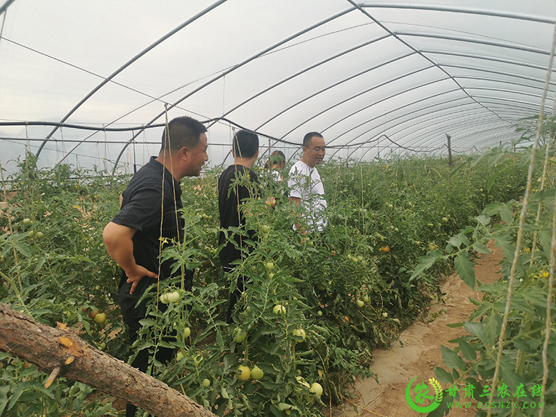 合水县多举并措治违禁控药残 确保源头农产品质量安全