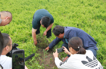 甘肃12316专家进田间 “把脉问诊”促丰收