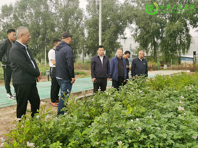 省植保植检站调研组在临夏州调研植保体系建设及重点工作开展情况