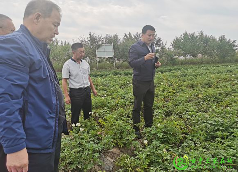 省植保植检站调研组在临夏州调研植保体系建设及重点工作开展情况