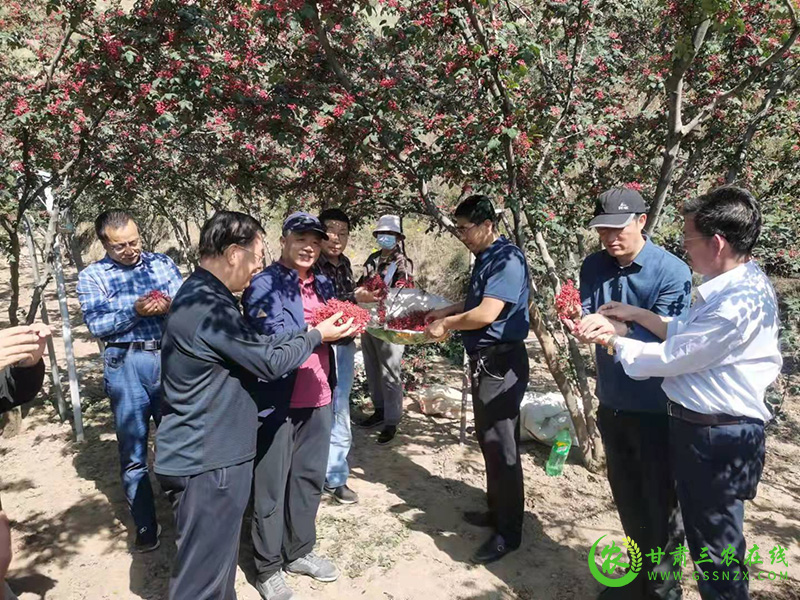 临夏莲花花椒顺利通过省级地理标志农产品登记现场核查和品质鉴评