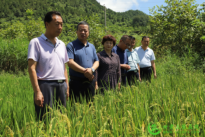 徽县加强调查研究确保旱作节水农业技术推广项目实施进度