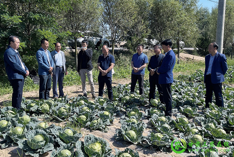 省农业生态总站督导调研灵台县农业生态环保工作