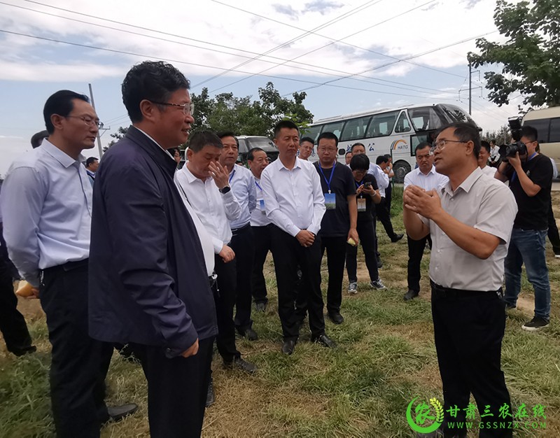 宁县建成全国最大矮化自根砧苹果基地 形成一体化现代果业“宁县模式”