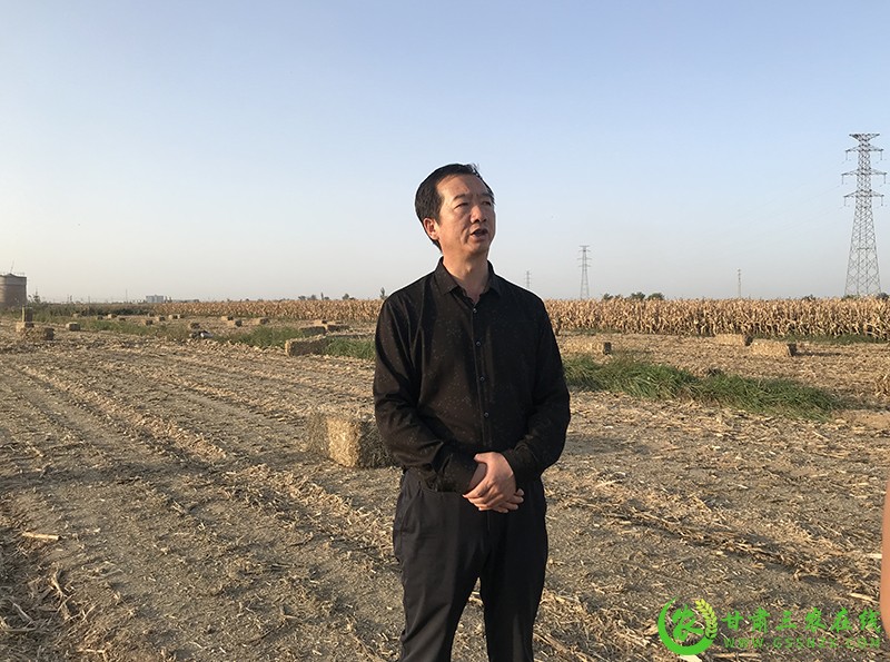 甘肃三农在线聚焦凉州区农作物秸秆综合利用试点项目开展情况
