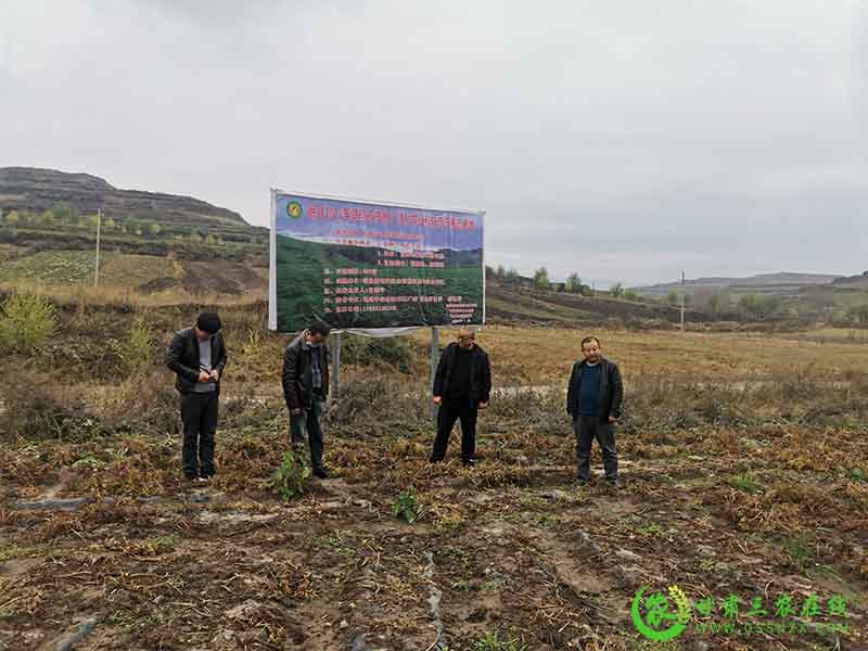 岷县农业农村局开展2021年基层农技推广体系改革与建设补助项目农业科技试验示范基地验收工作