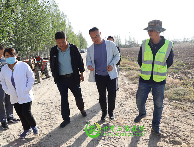 景泰县顺利完成今年退化耕地治理项目任务目标