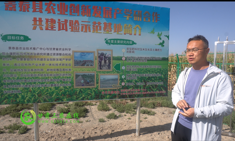 甘肃三农在线聚焦景泰县采访2021年退化耕地治理项目进展情况