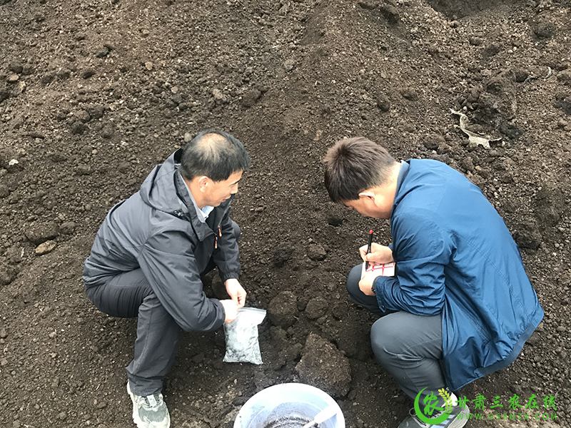 甘肃三农在线聚焦庄浪县采访绿色种养循环农业试点项目进展情况