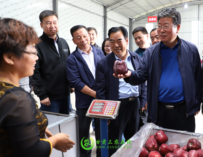李旺泽出席中国苹果首届产销峰会暨甘肃（平凉）果品贸易大会