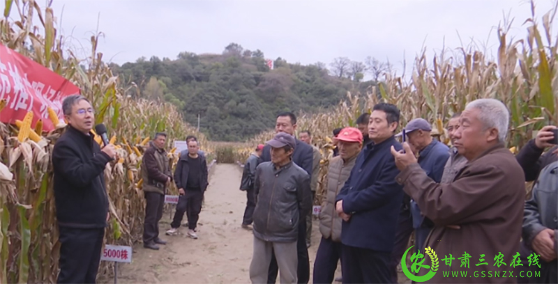 庆阳市农技中心举办玉米新品种新技术示范推广现场培训会