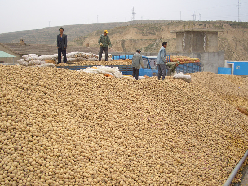 林毅夫：​战胜命运与定西马铃薯产业发展经验