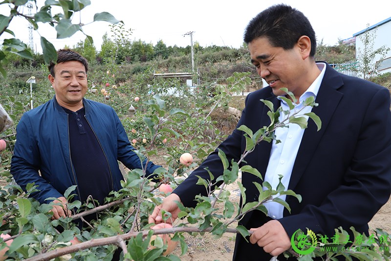 图说庄浪县绿色种养循环农业试点项目