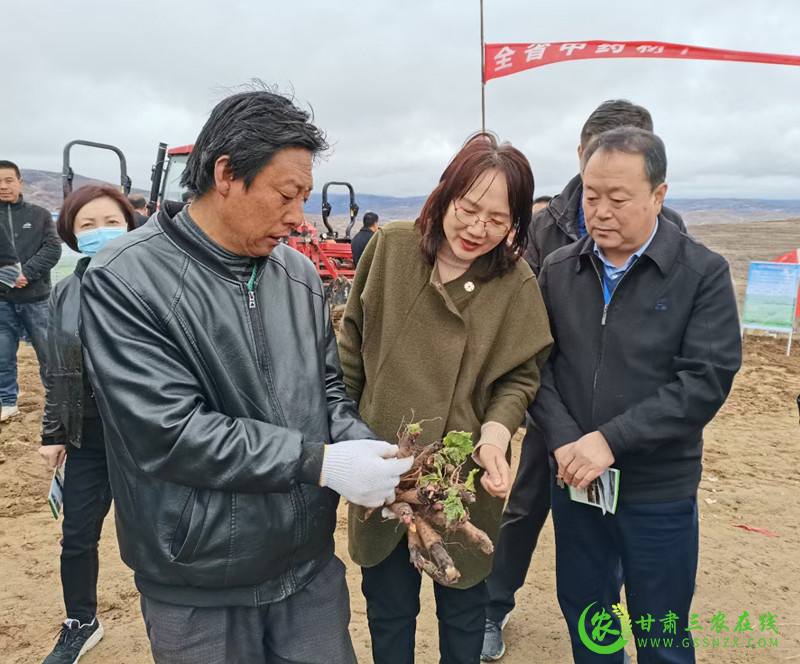 陇西县建成道地中药材质量安全追溯体系提升中药材质量安全水平