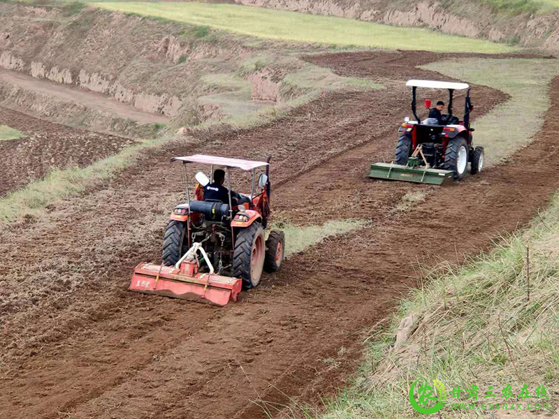 秦州区将绿色高质高效行动打造成引领现代农业发展的典型样板