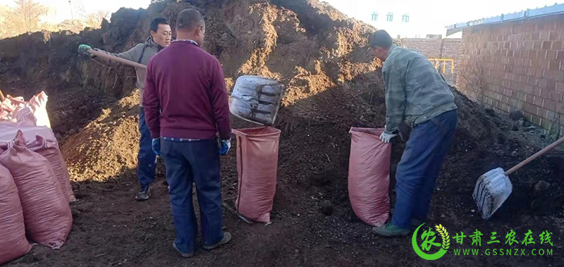 西峰区农技中心带动农民施用有机肥 推动化肥减量