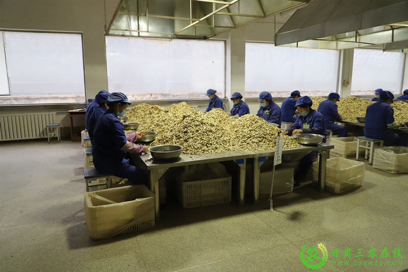 陇西县实现道地中药材生产全程可追溯