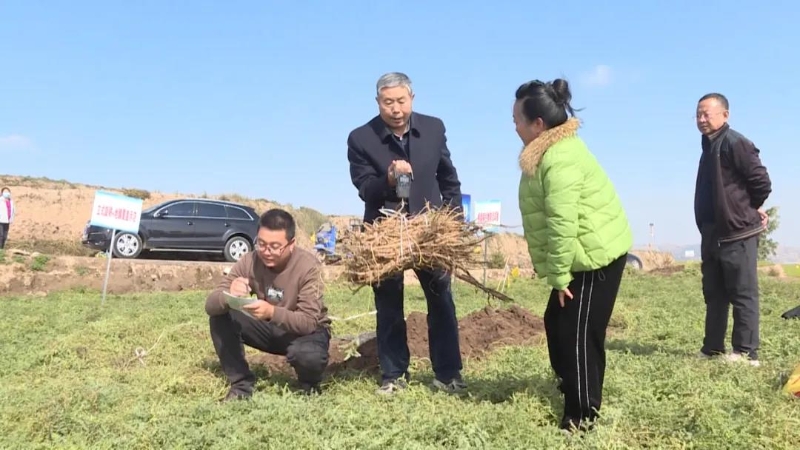 陇西：稳步实现农业增效农民增收