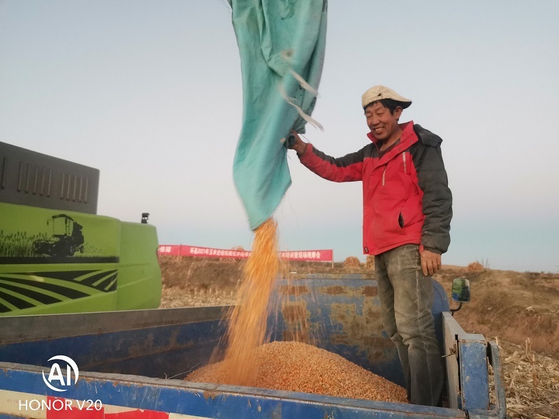 环县玉米生产实现全程机械化