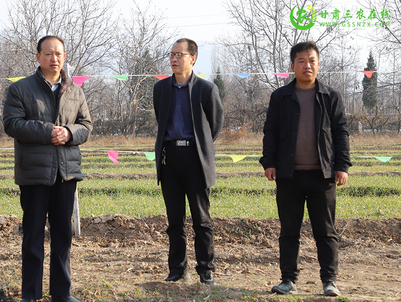绿色种养循环农业试点项目让武山县粪污资源化利用率提高到90%以上