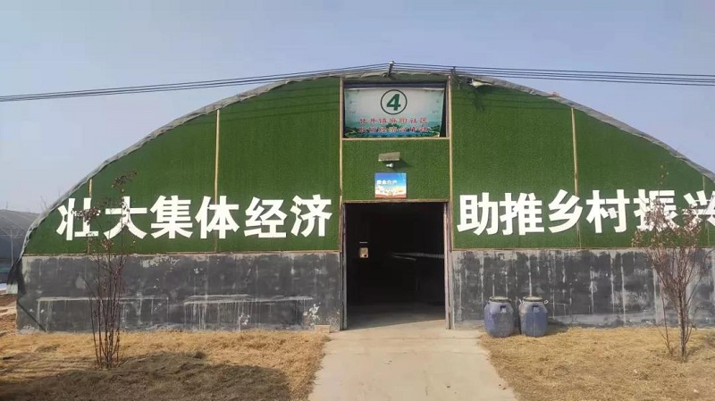 绿能农科正式接管陕西合阳基地